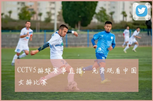 CCTV5排球赛事直播：免费观看中国女排比赛